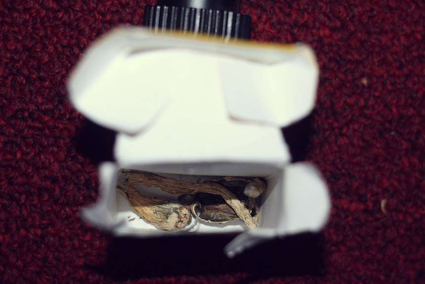 weird magic | photos