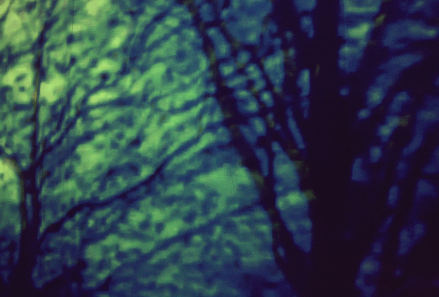 weird magic | photos