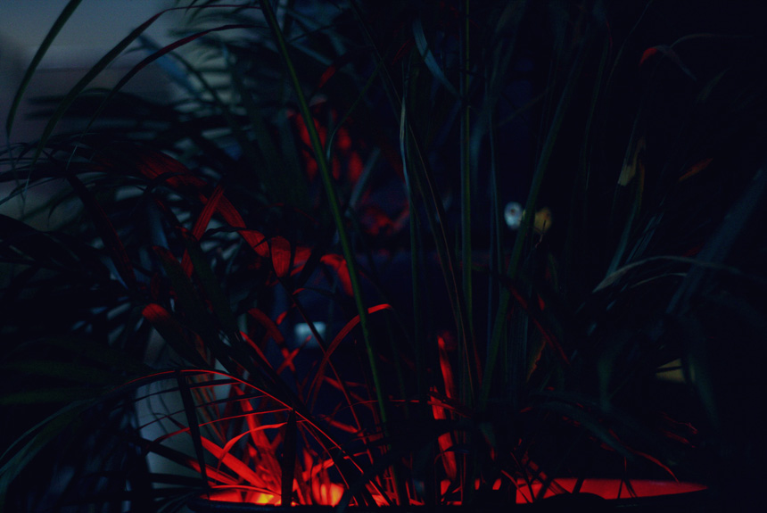 weird magic | foto