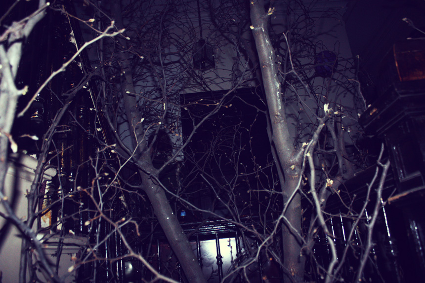 weird magic | photos