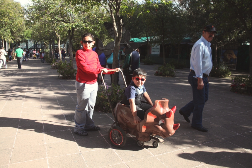 ErezAvissar_MX026