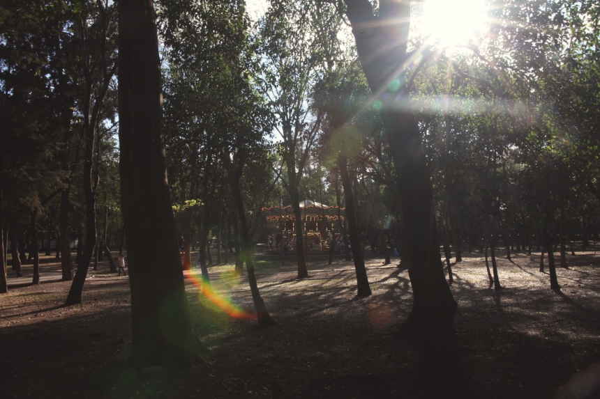 ErezAvissar_MX033
