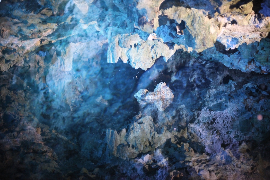 comunite_0014
