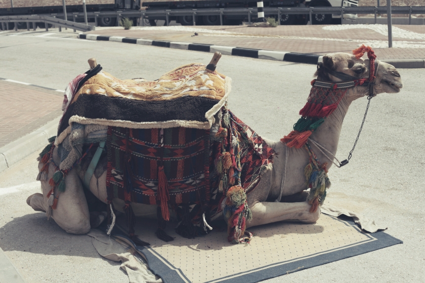 erez-avissar_israel021