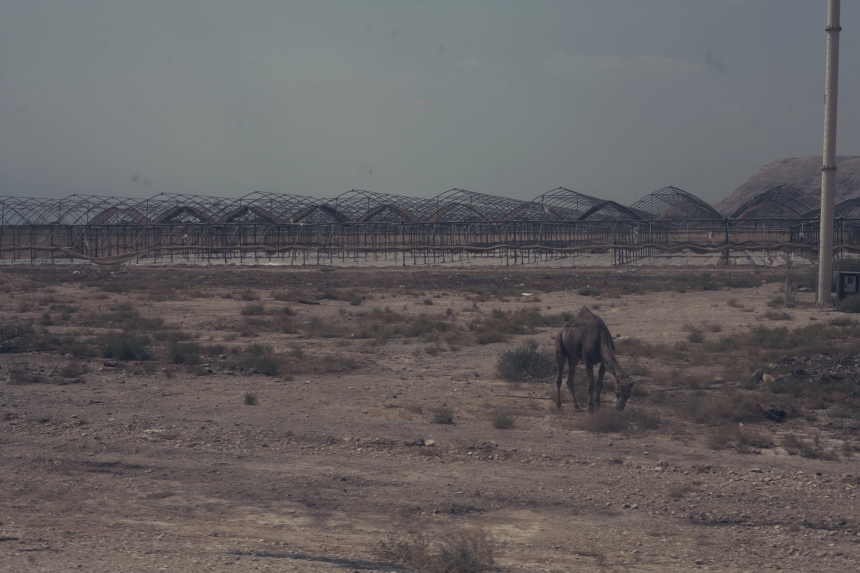 erez-avissar_israel023