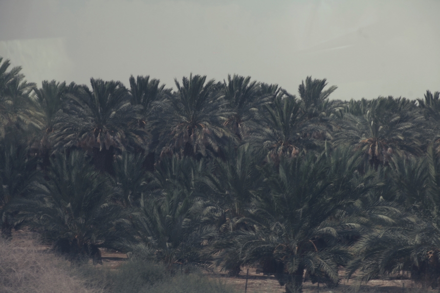erez-avissar_israel024