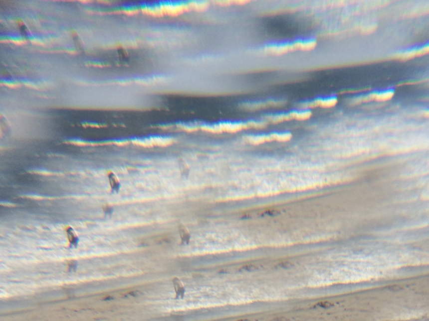 wm07_019